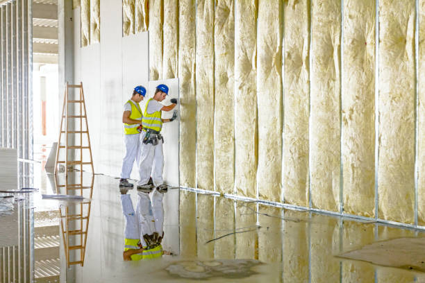 Best Commercial Insulation in Moundridge, KS
